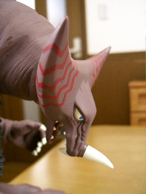 イメージ 8