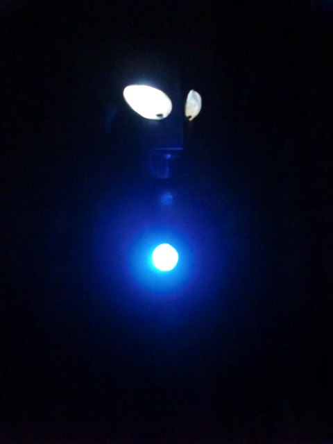 イメージ 10