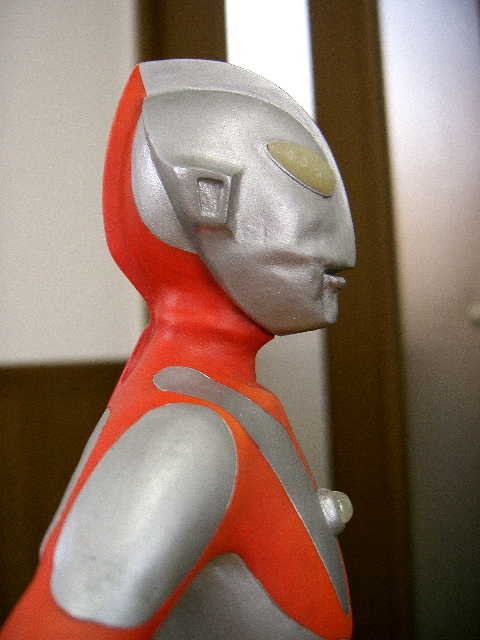 イメージ 5