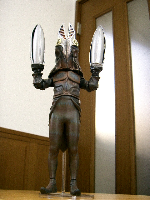 イメージ 7