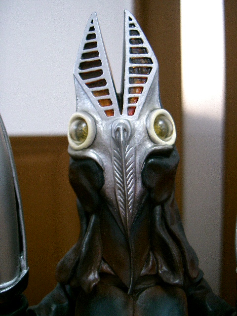 イメージ 6