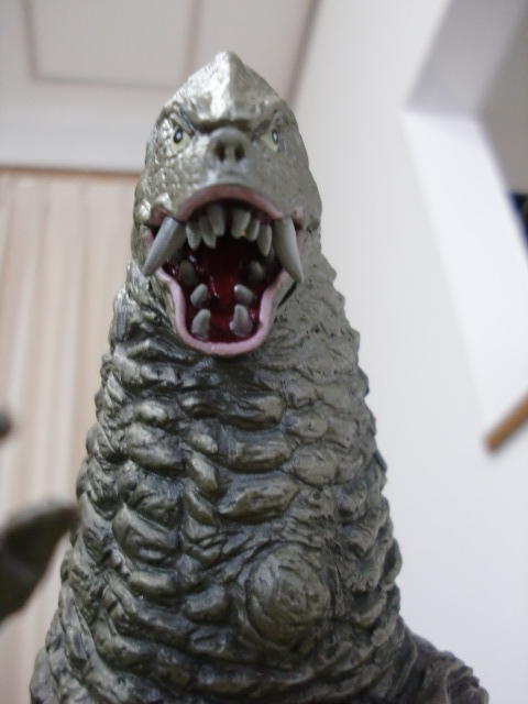 イメージ 6