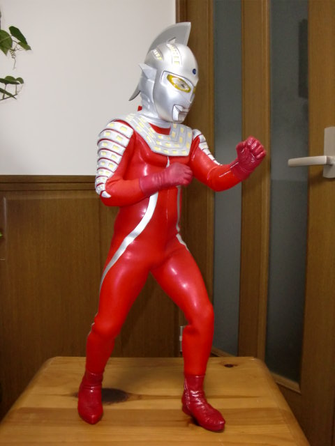 イメージ 7