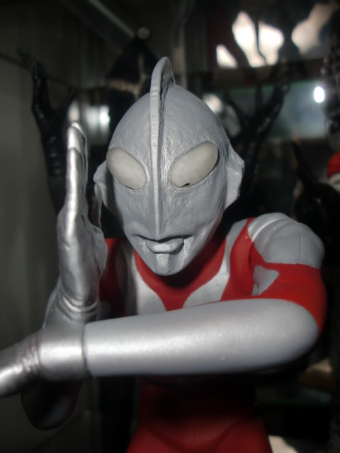 イメージ 6