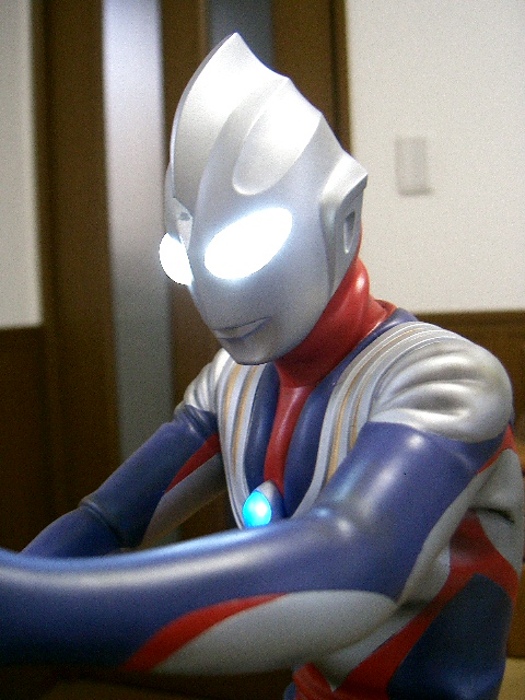 イメージ 7