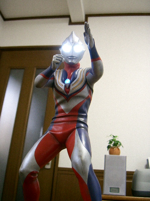 イメージ 8