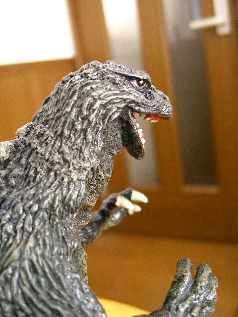 イメージ 6