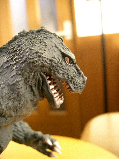 イメージ 5
