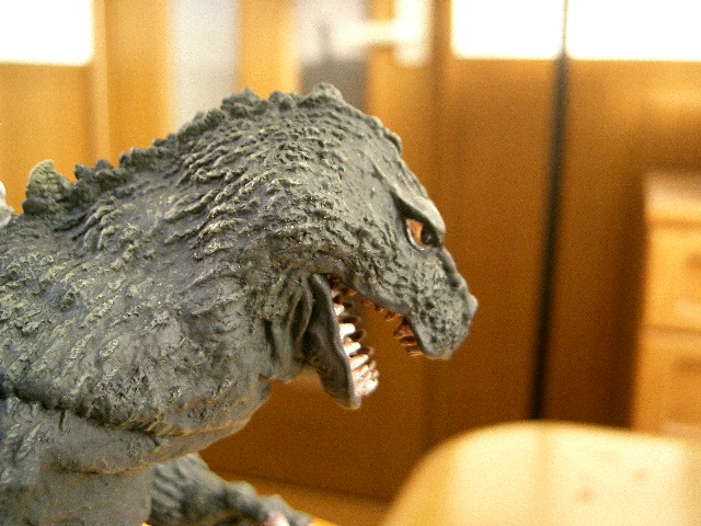 イメージ 9