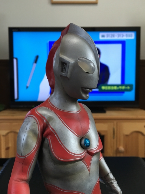 イメージ 6