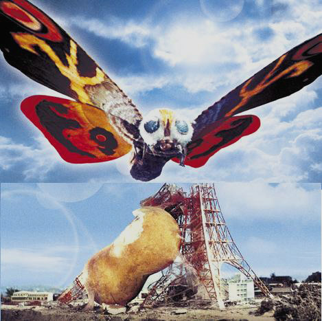 イメージ 6