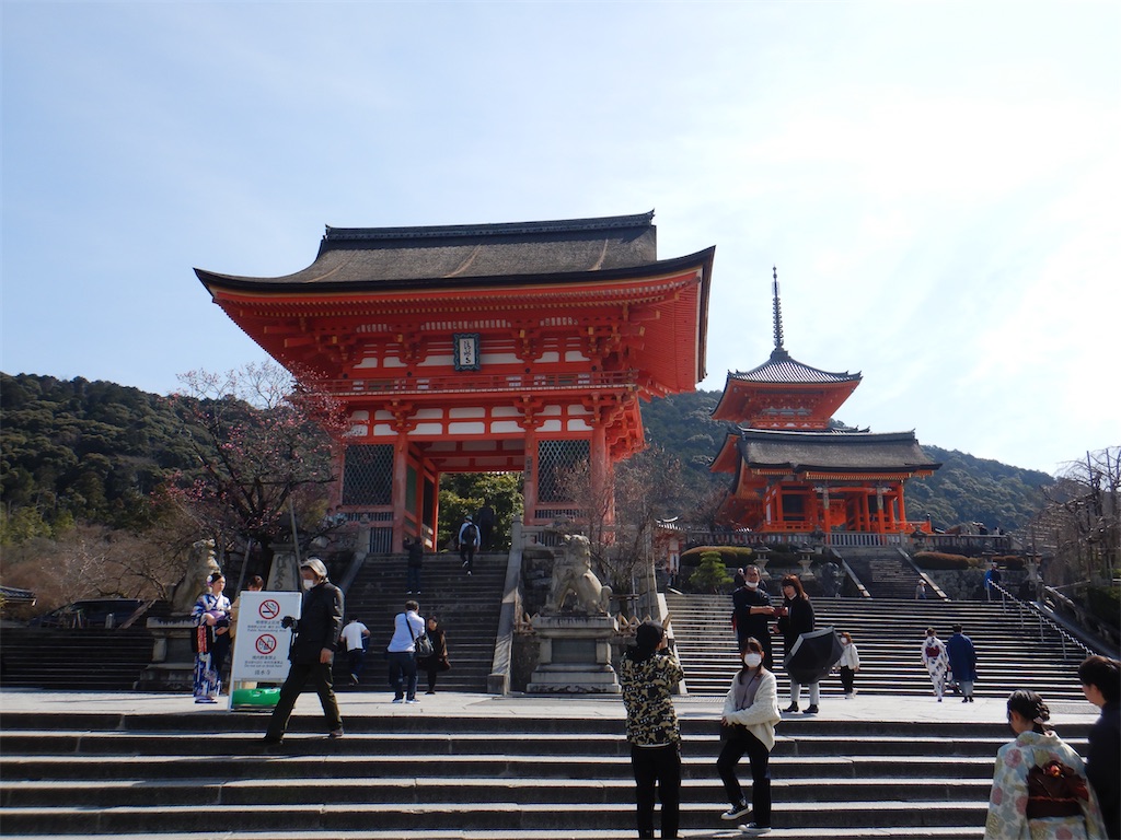f:id:fdsjiusavmkfdb:20200720232235j:image