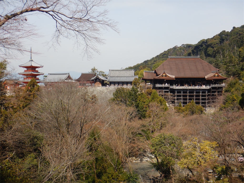 f:id:fdsjiusavmkfdb:20200720235052j:image