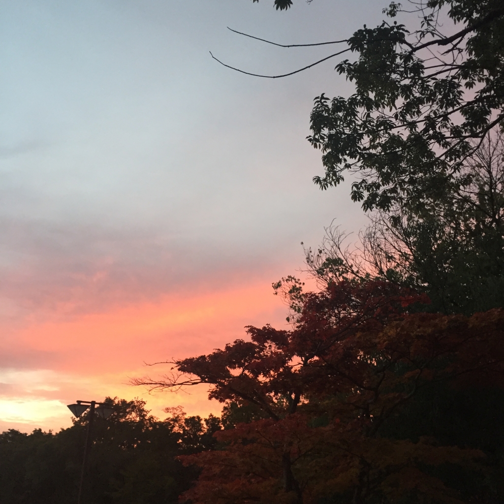 f:id:fearless44:20161110235210j:plain f:id:fearless44:20161110235210j:plain