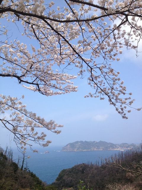イメージ 5