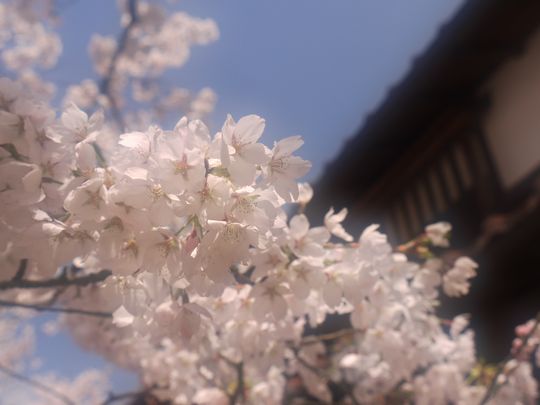 イメージ 1