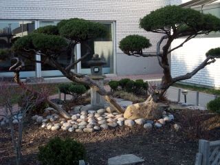 f:id:feeltoronto:20100329181505j:image