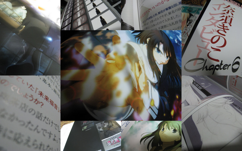 f:id:feilung:20090216025749j:image:w400