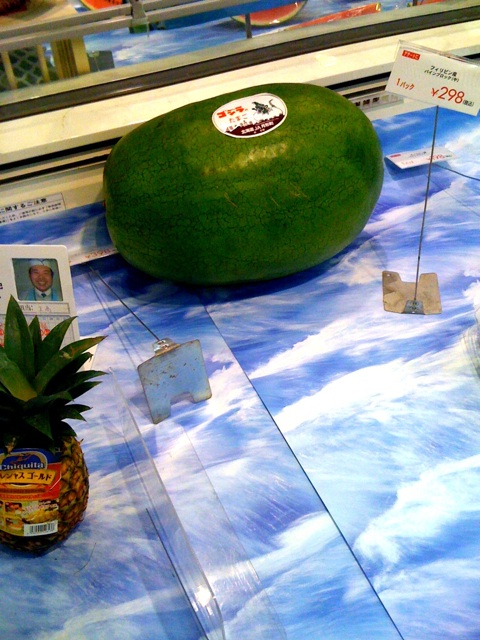 f:id:feilung:20090728003721j:image:w400