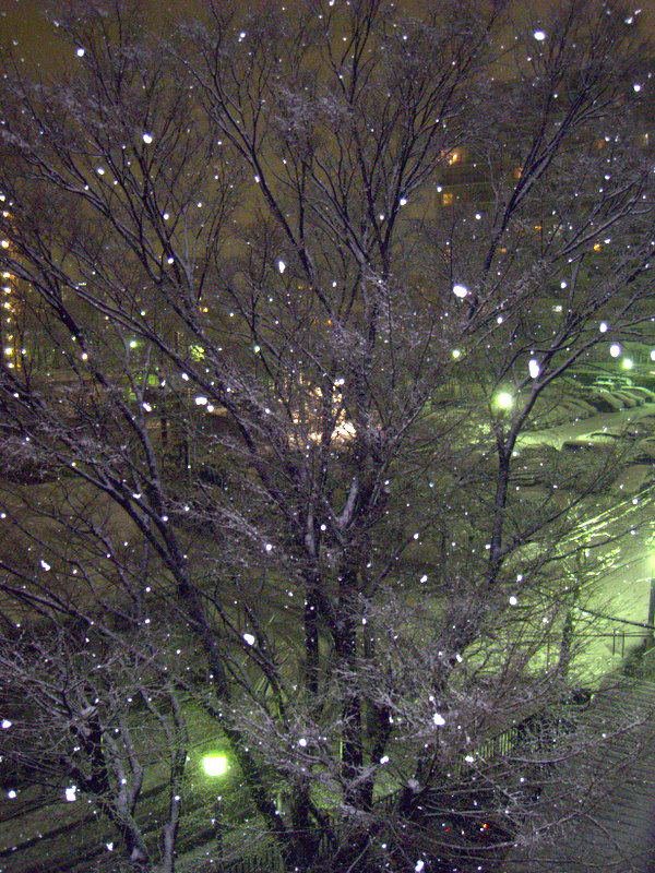 f:id:feilung:20110214233258j:image:w400