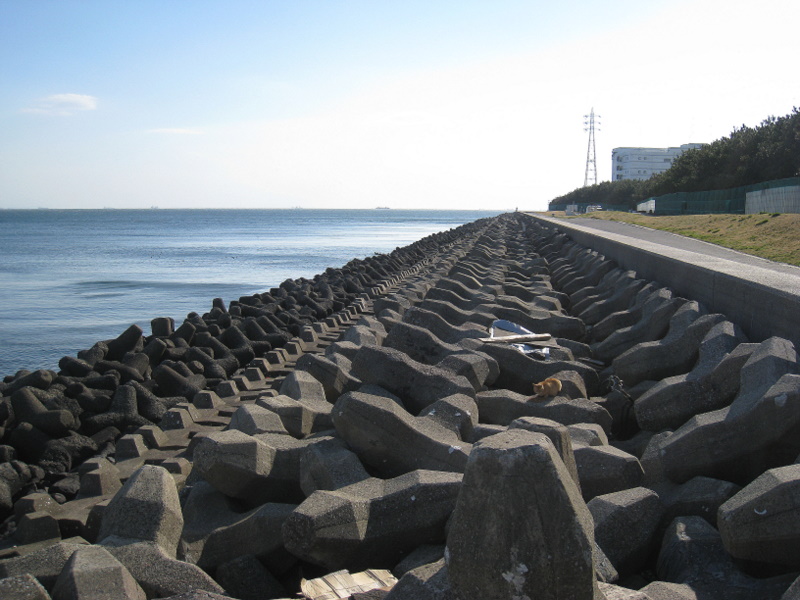 f:id:feilung:20110326154546j:image:w400