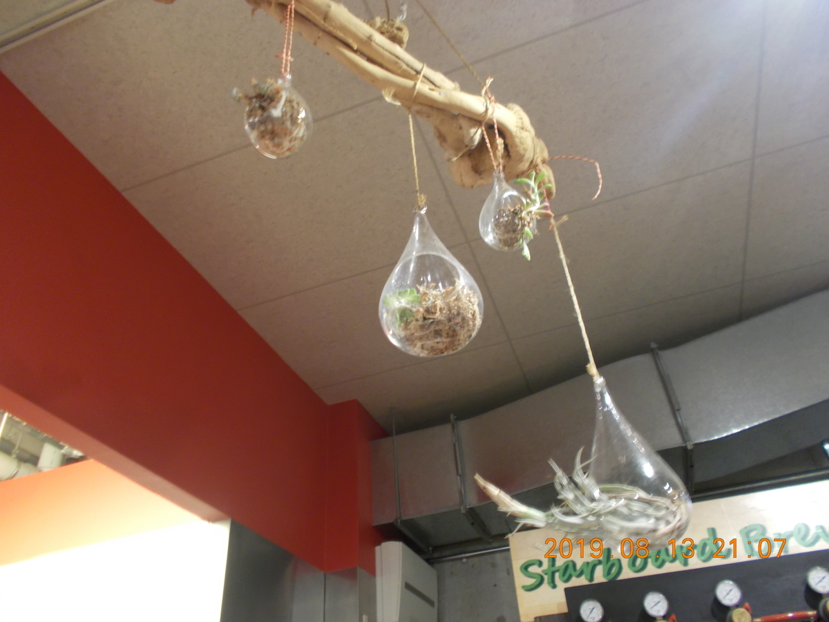 f:id:felicia51ta:20190906160102j:plain f:id:felicia51ta:20190906160102j:plain