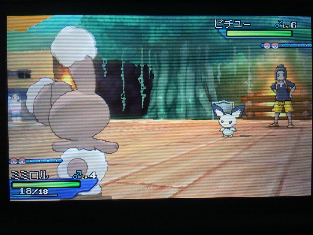 ゲーム ポケモン