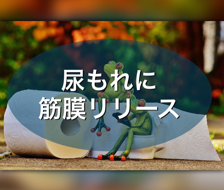 20190214013315