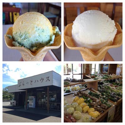 2012/8/26 明日葉アイス