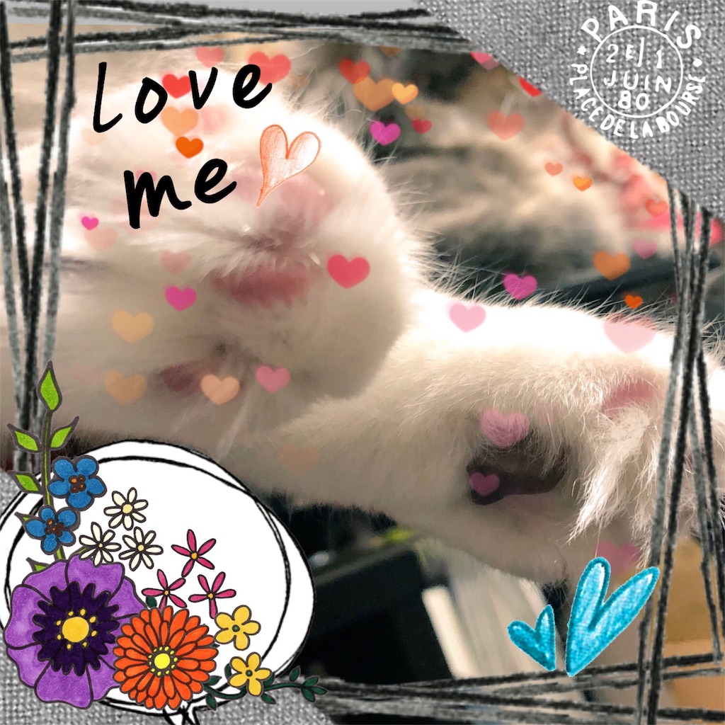 f:id:fenechannel:20180704221952j:image