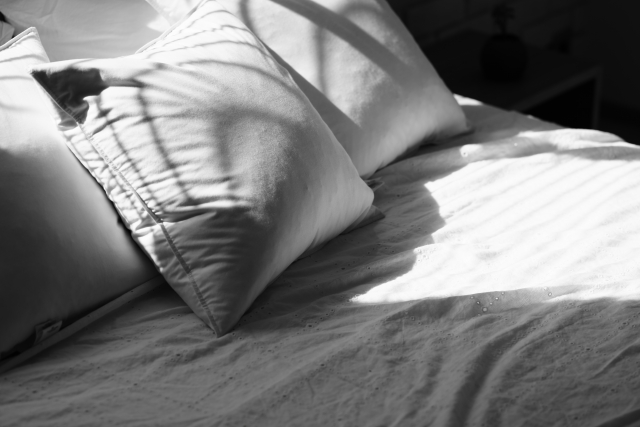 南枕の破壊力 ー 南枕７日目 ー ー 風水日記