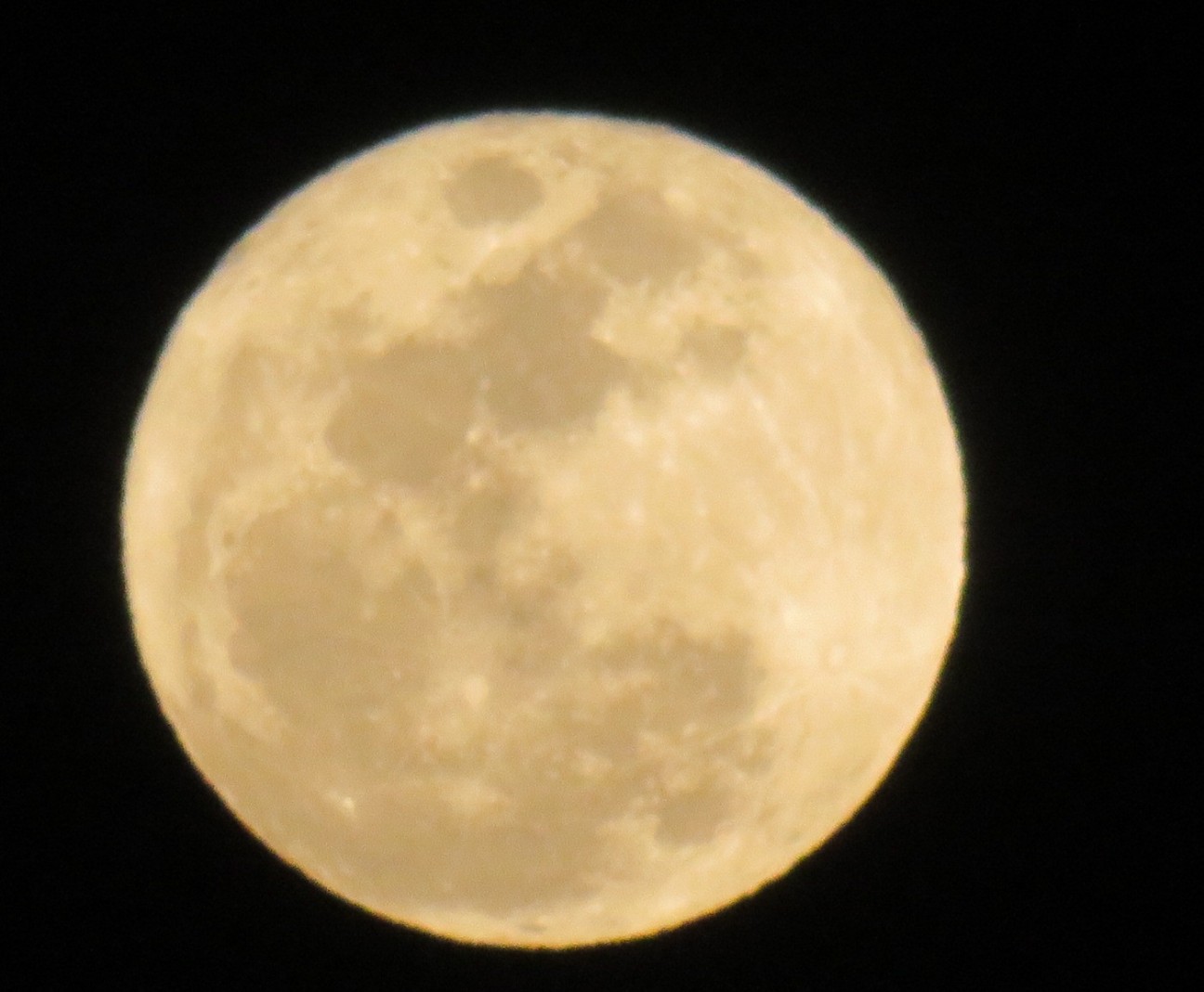 f:id:fennel-tea:20260403091525j:image f:id:fennel-tea:20260403091525j:image