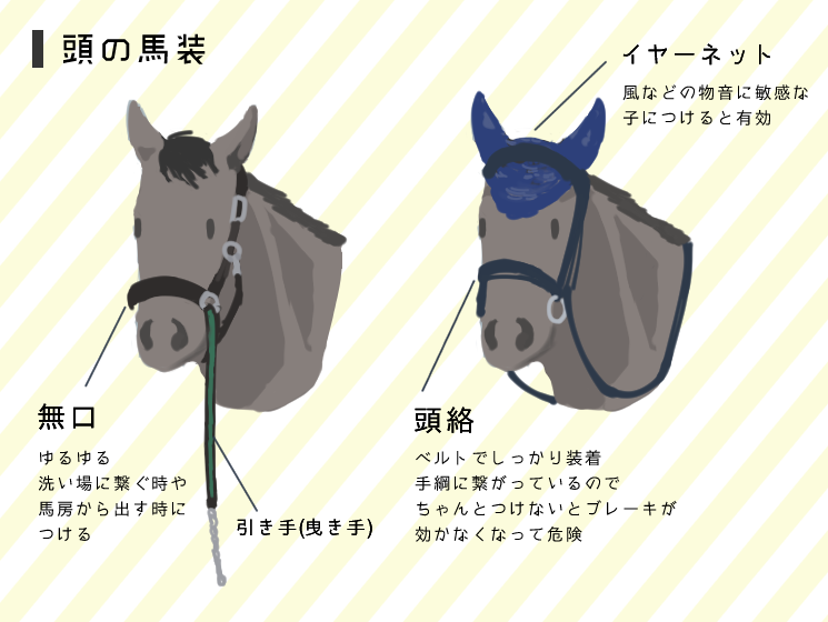 33鞍目③】初めての馬装 - うまめのめ