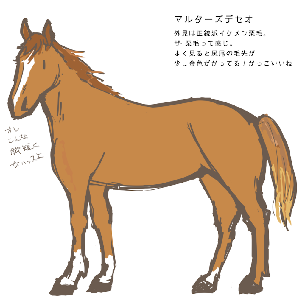 41鞍目 A 今週の可愛いエピソード うまめのめ