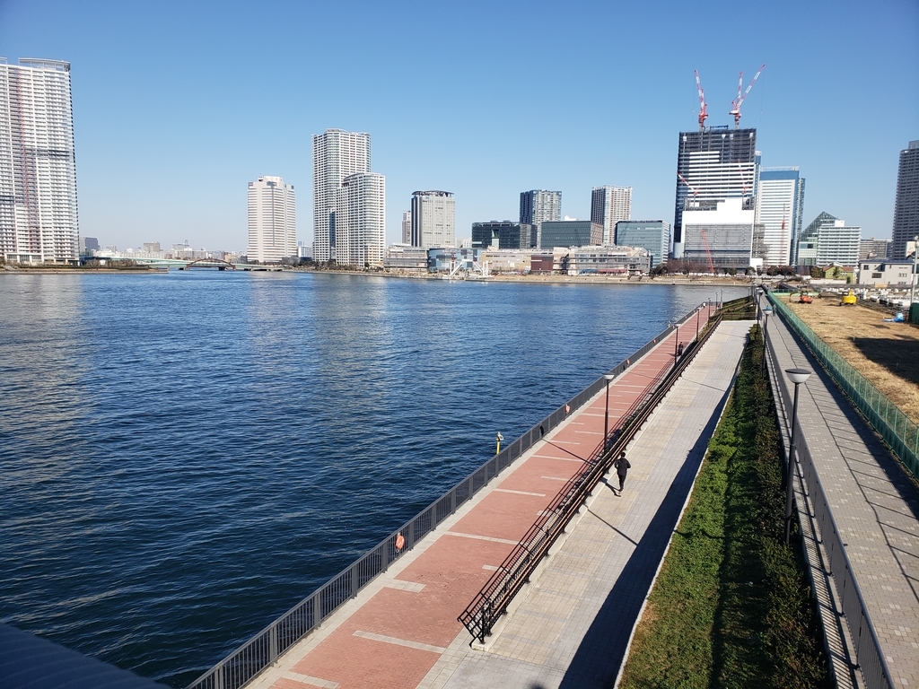 f:id:fermium0321:20190228013431j:plain f:id:fermium0321:20190228013431j:plain