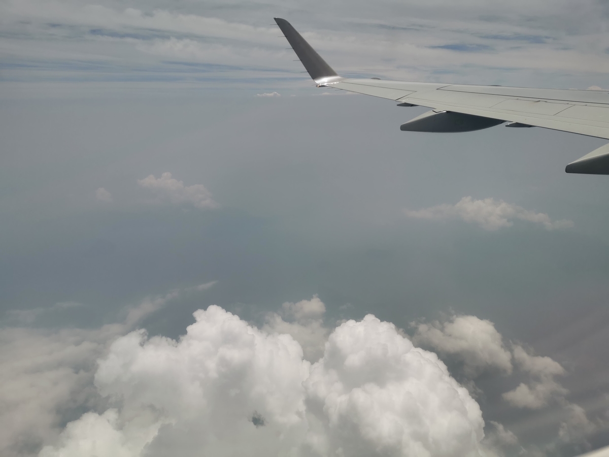 f:id:ferret-traveller:20190712170206j:plain
