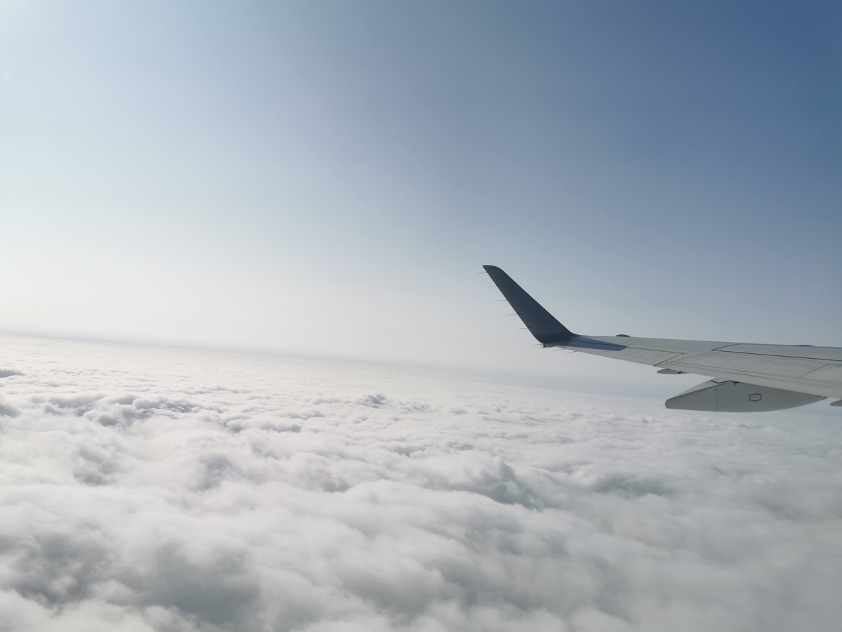 f:id:ferret-traveller:20190712170332j:plain