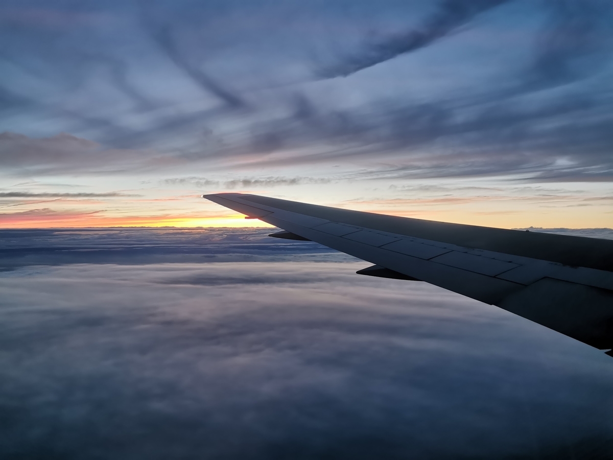 f:id:ferret-traveller:20190712170412j:plain