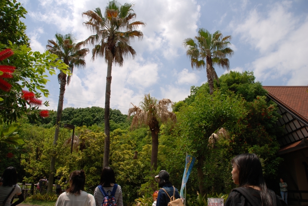 f:id:ferris_photoclub:20170607001129j:plain