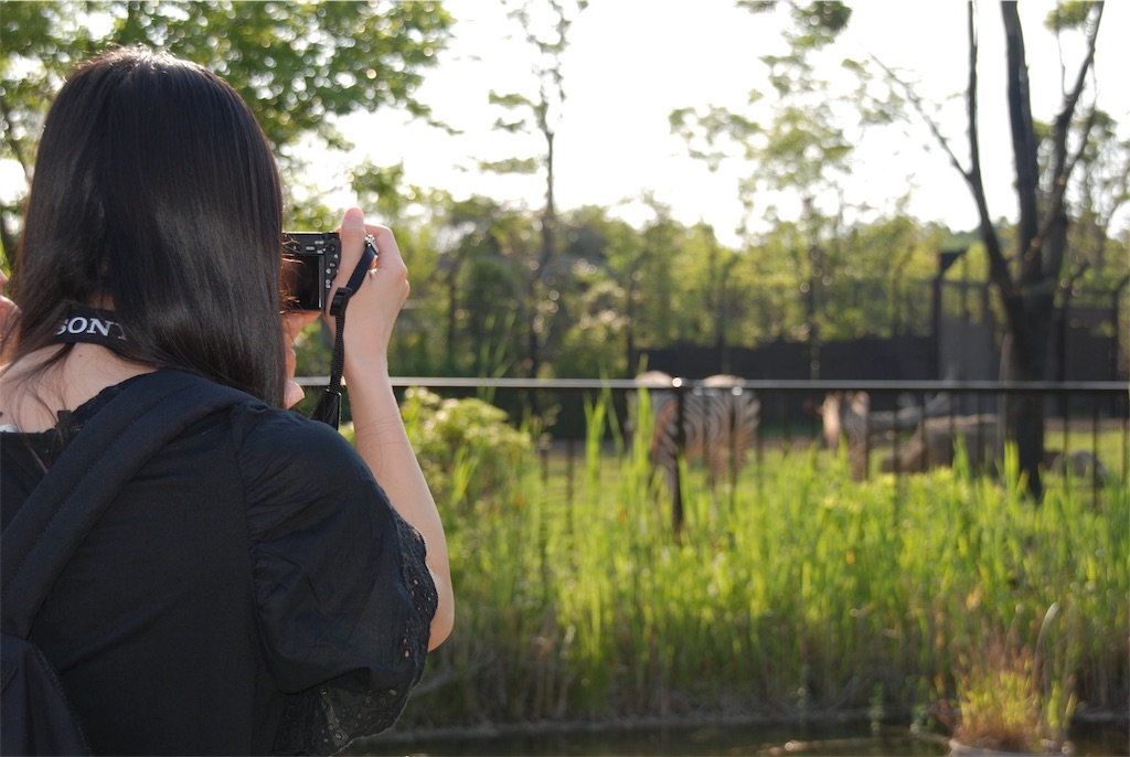 f:id:ferris_photoclub:20170607223303j:image