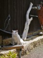 20110409123208