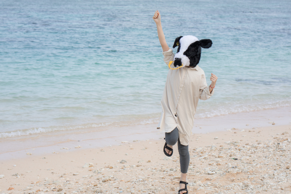 f:id:festivalflivetrips:20170507132751p:plain