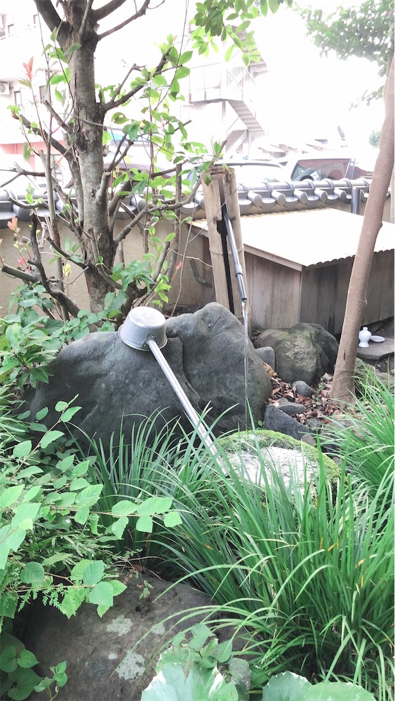 f:id:feuillage-studio:20190718001425j:image