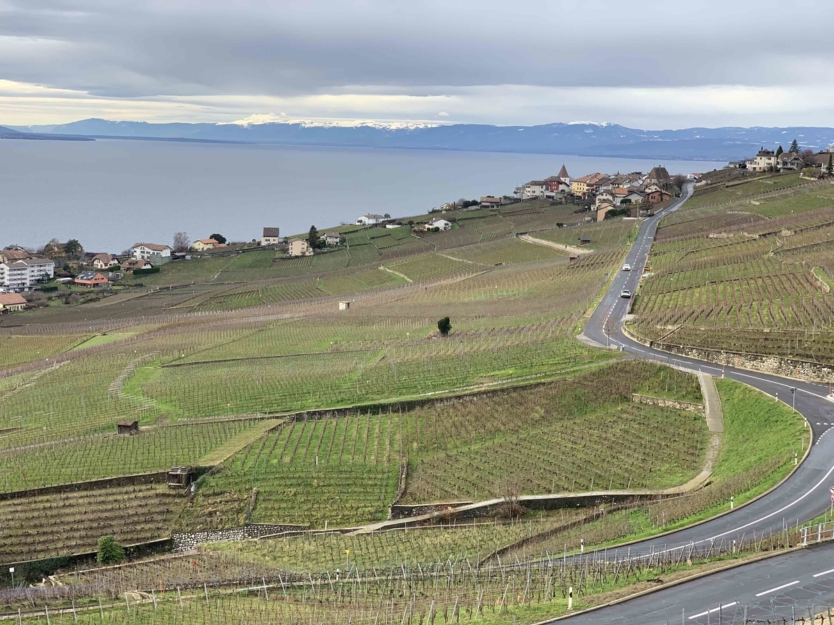 f:id:feynmanrp:20191216043645j:plain