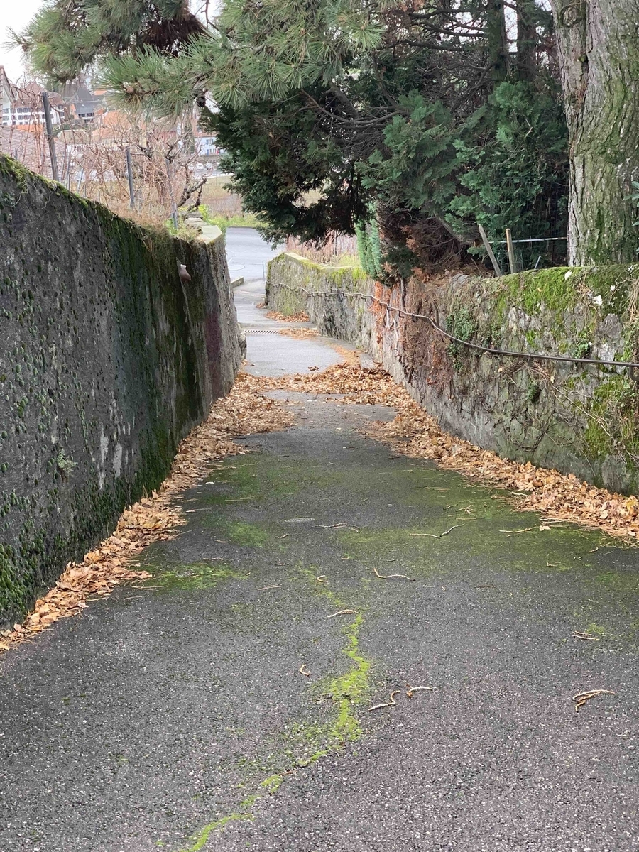 f:id:feynmanrp:20191216044233j:plain