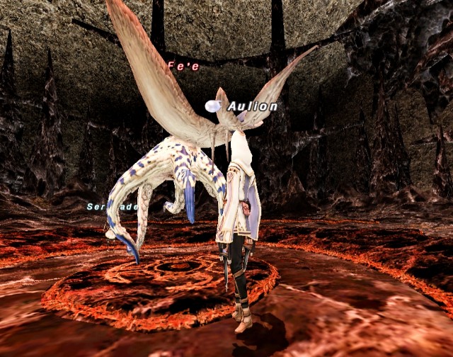 Ff11 南海の魔神 からくし士ソロのこと Ff11 竜騎士と活動記録のこと