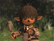 Ff11 おすすめ支援タイプフェイス ベスト３ Return To The Ff11