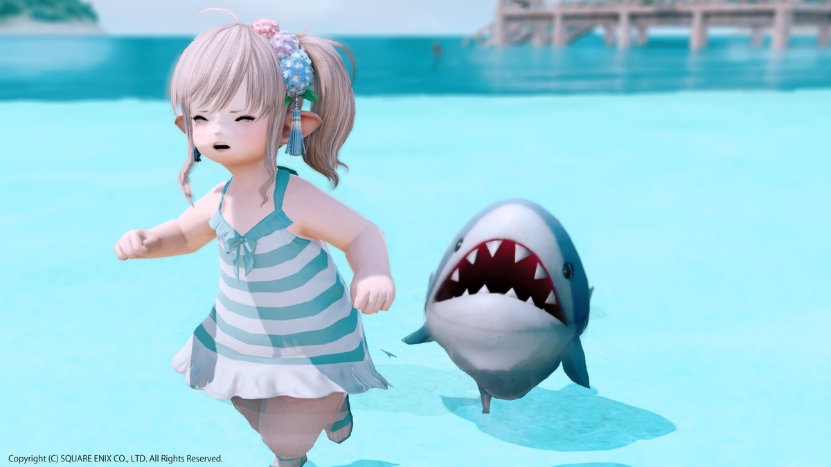 f:id:ff14atomosllp:20210802162415j:plain