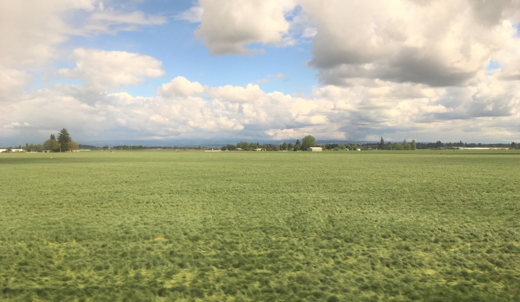 f:id:ff_galene:20180524145954j:plain f:id:ff_galene:20180524145954j:plain