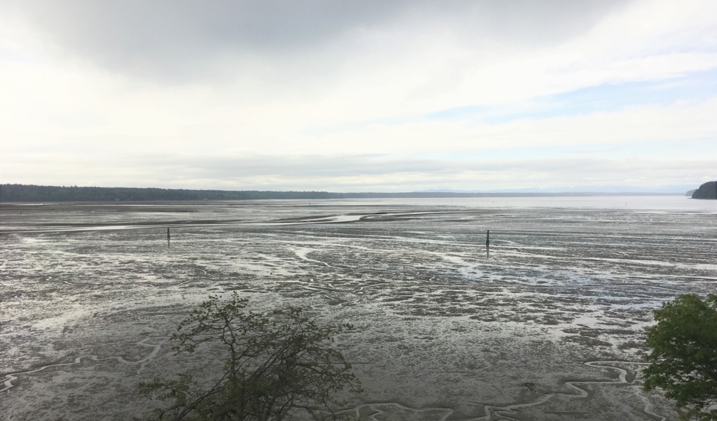 f:id:ff_galene:20180628065745j:plain f:id:ff_galene:20180628065745j:plain